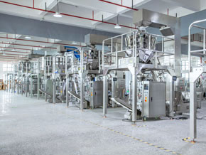 Landpack VFFS Machine Workshop