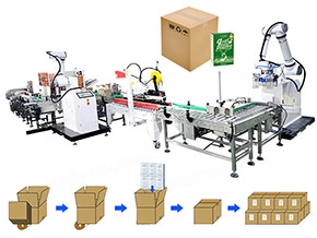 case packing robot