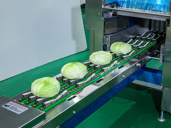 vegetable packing machine price