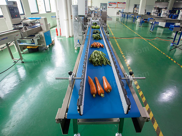 pepper packing machine