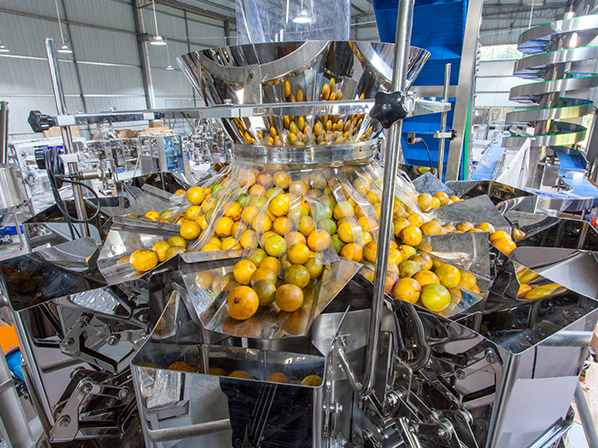 fruit net bag packing machine