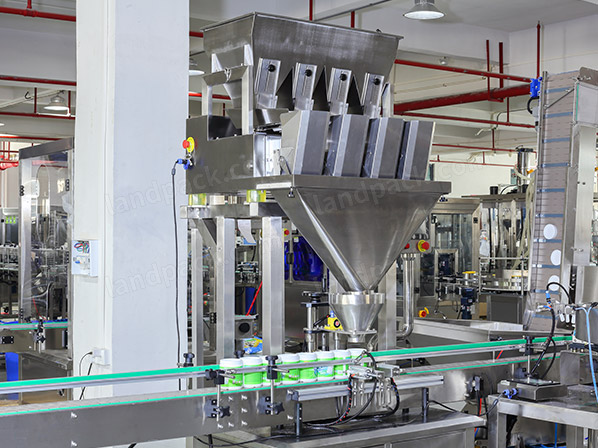 protein powder filling machine