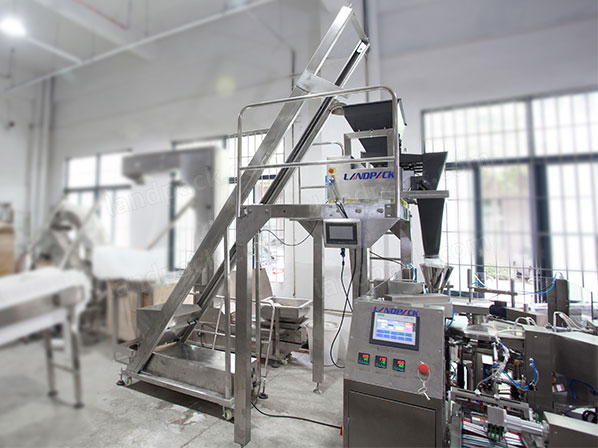 rotary pouch filling machine